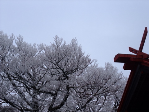 a0043982_16431673.jpg