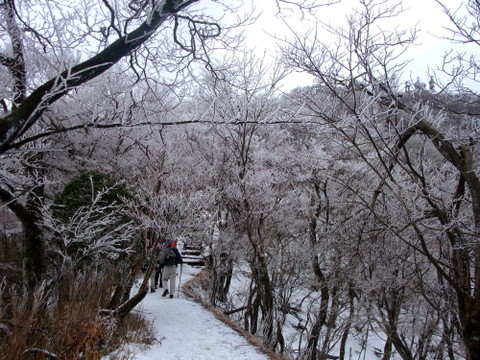 a0043982_19462562.jpg