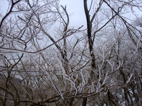 a0043982_19472453.jpg