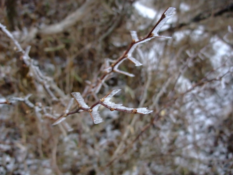 a0043982_19475760.jpg