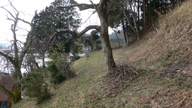 b0042882_13431865.jpg