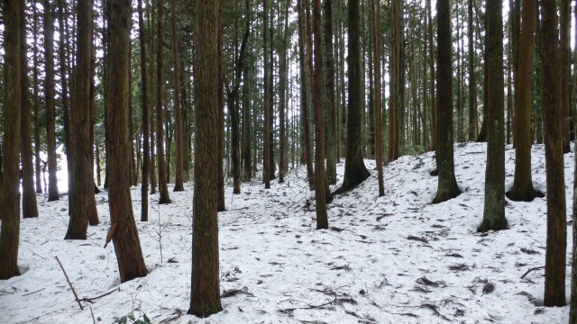 b0042882_13441085.jpg