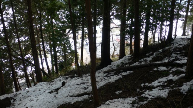 b0042882_13491057.jpg