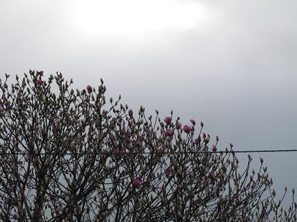 e0130185_11363610.jpg