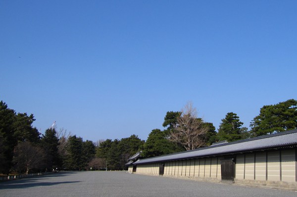 d0176186_2371530.jpg