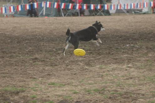 c0123890_18384131.jpg