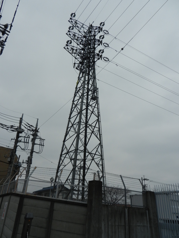 d0224990_1954175.jpg