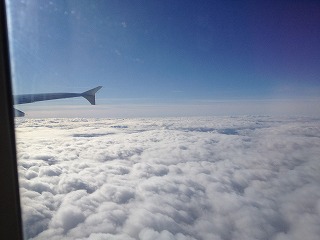 e0152990_1558032.jpg
