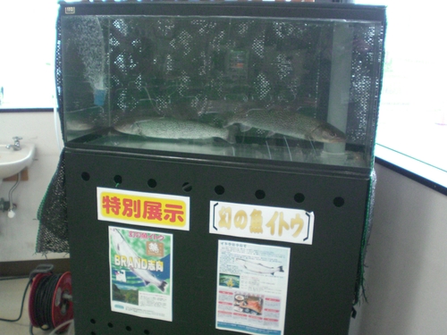 f0230992_15181842.jpg
