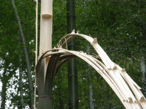 e0017396_21343361.jpg