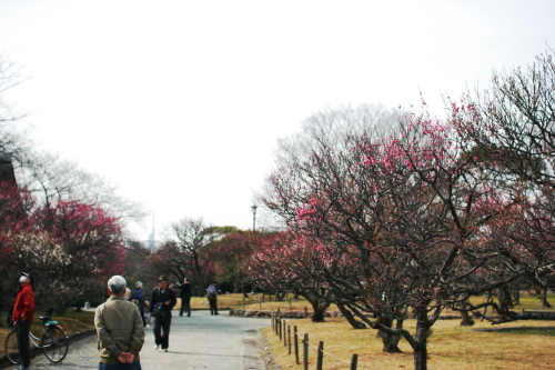 c0129498_106567.jpg