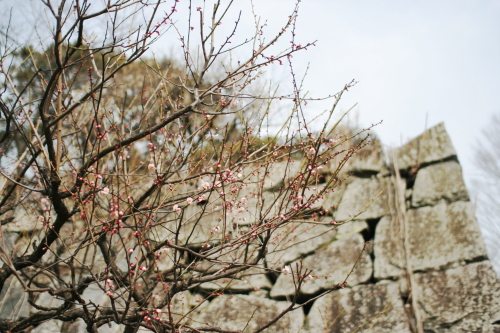 c0129498_107138.jpg
