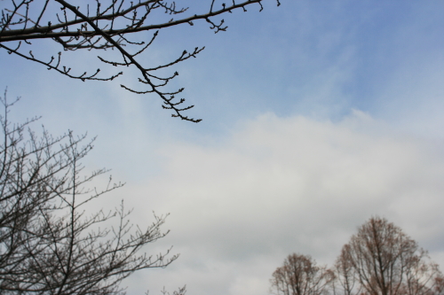c0129498_1073060.jpg