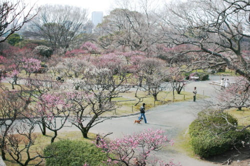 c0129498_1075442.jpg