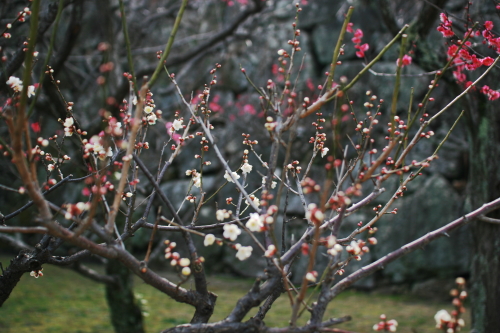 c0129498_107757.jpg