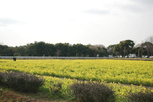 c0129498_1294126.jpg