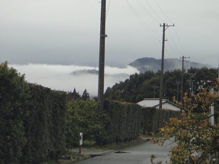 e0143298_2033570.jpg