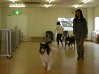 f0081100_1039986.jpg