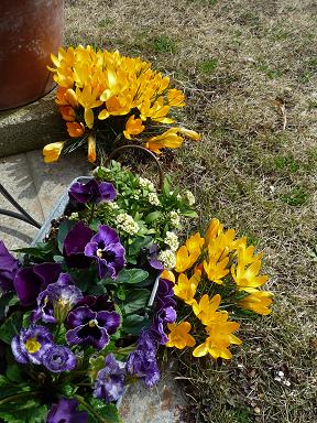 e0234004_2011542.jpg