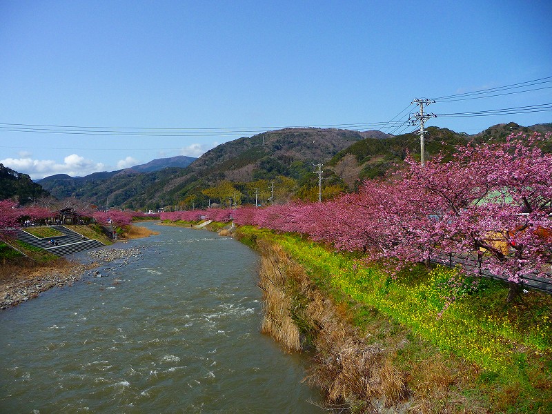 f0182513_2147067.jpg