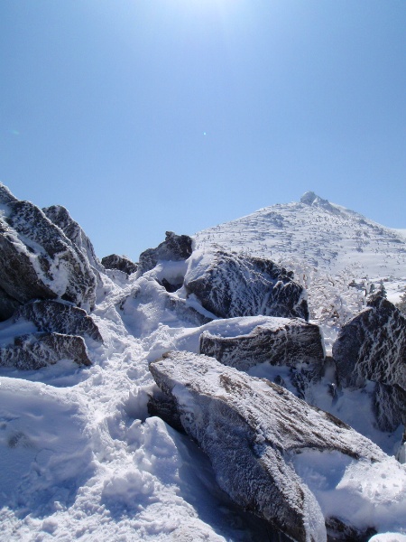 c0177814_18582179.jpg