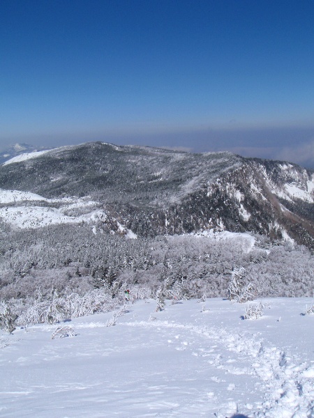 c0177814_1902570.jpg