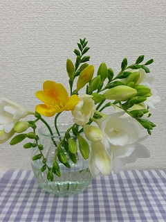 b0073616_12262222.jpg