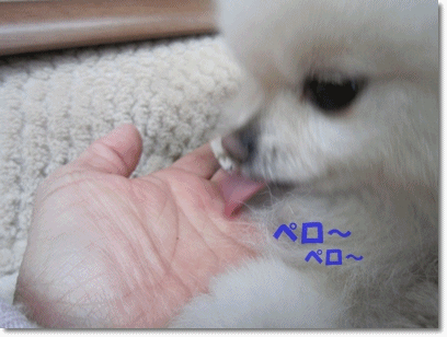 b0167519_97456.gif