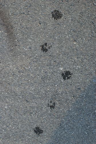 f0214121_23404165.jpg