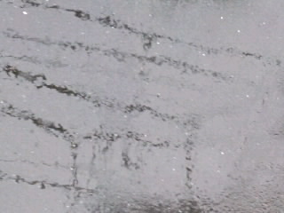 a0194522_7503548.jpg