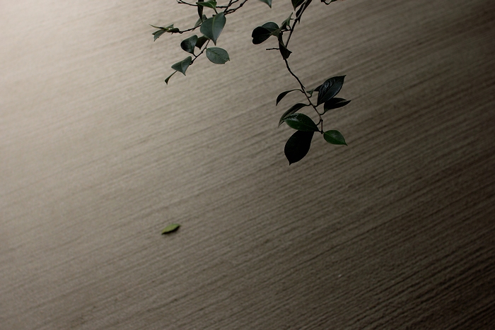 c0198227_144115100.jpg