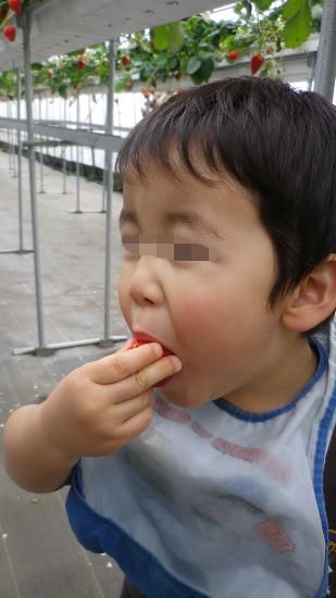 b0009228_12514669.jpg