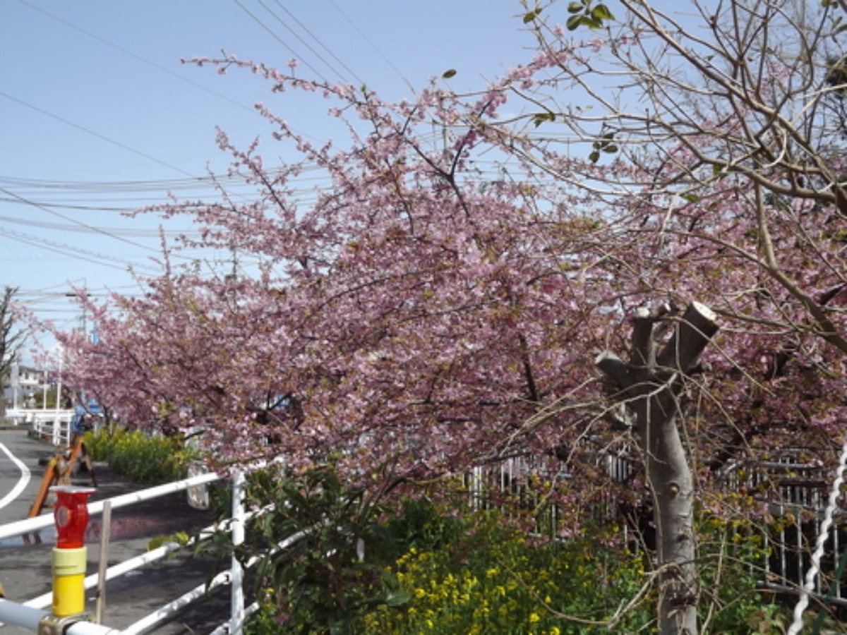 e0033229_21203427.jpg