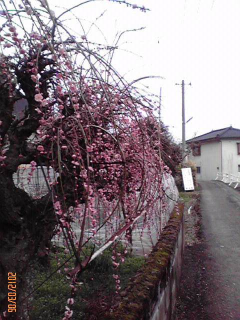 b0222530_16501993.jpg