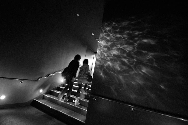 c0216331_6421869.jpg