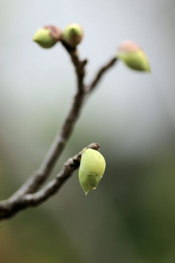 c0134734_23395425.jpg