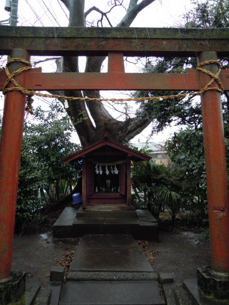 e0081334_418421.jpg