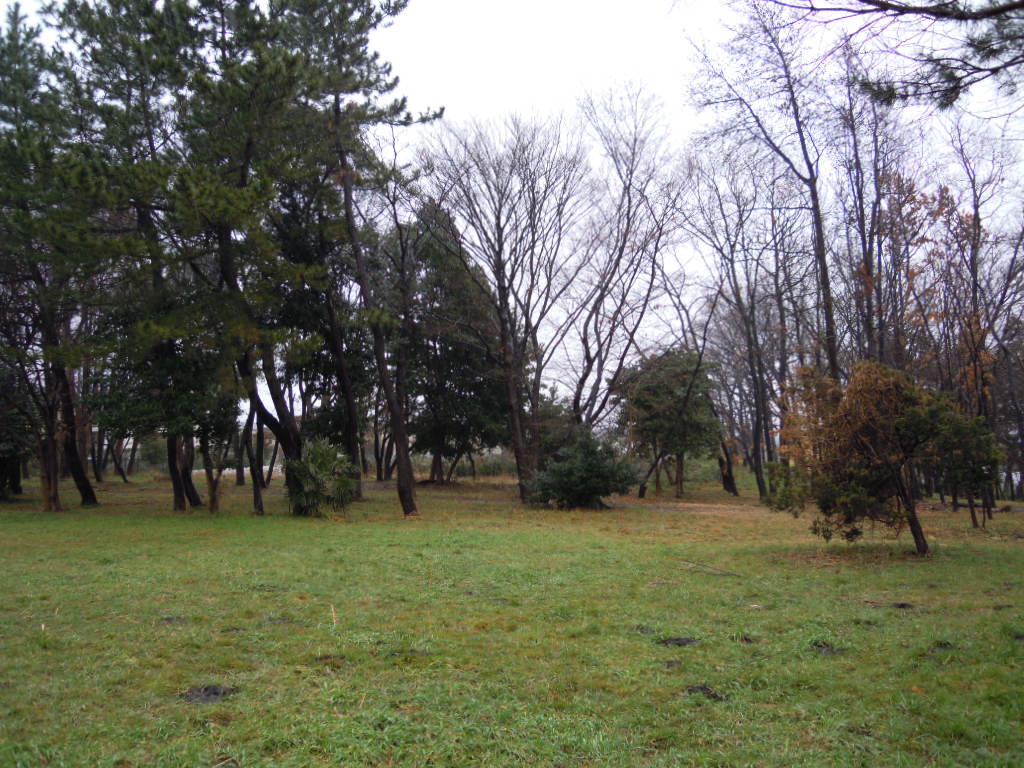 e0081334_473578.jpg