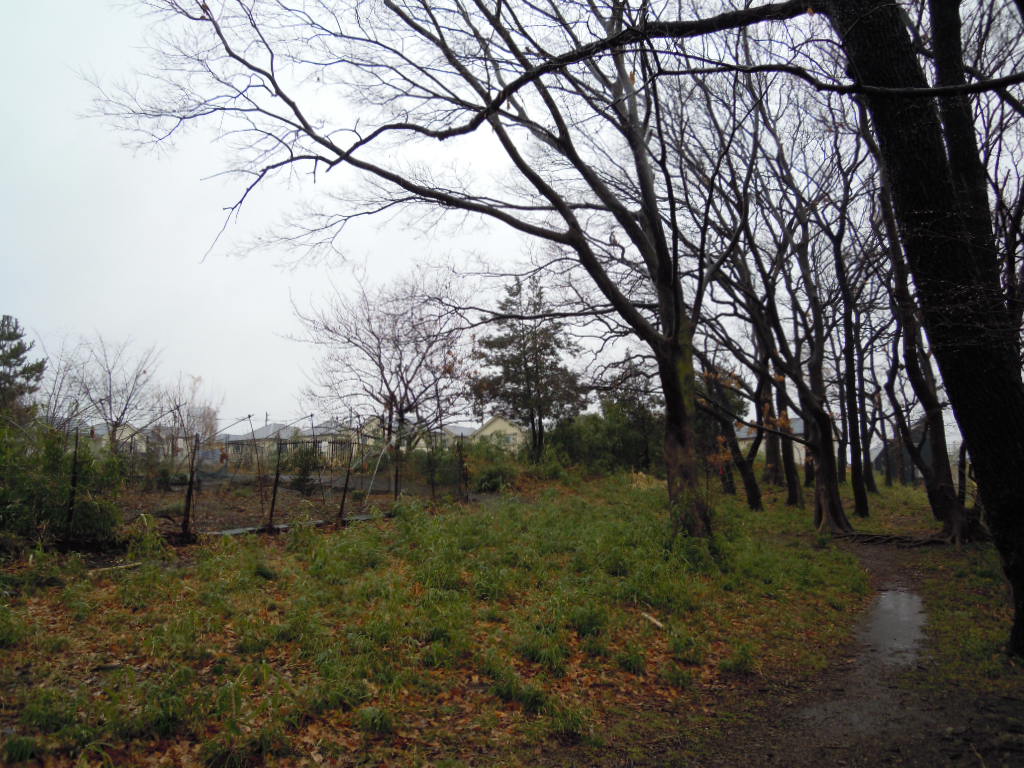 e0081334_47484.jpg