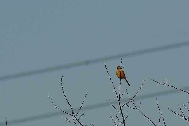 d0218238_22462328.jpg