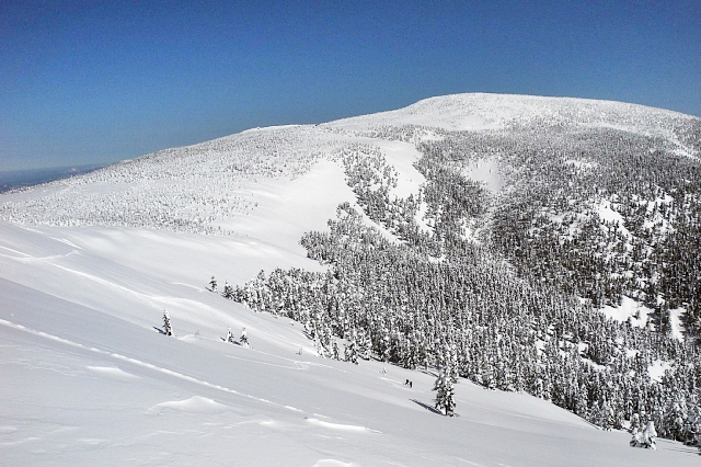 b0122448_21151039.jpg
