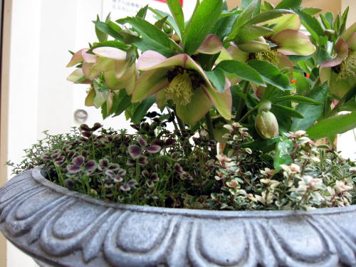 c0147952_0102619.jpg
