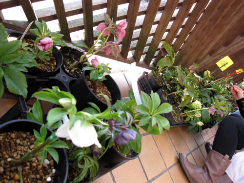 c0147952_0161262.jpg