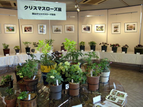 c0147952_0223336.jpg