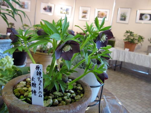 c0147952_0231215.jpg