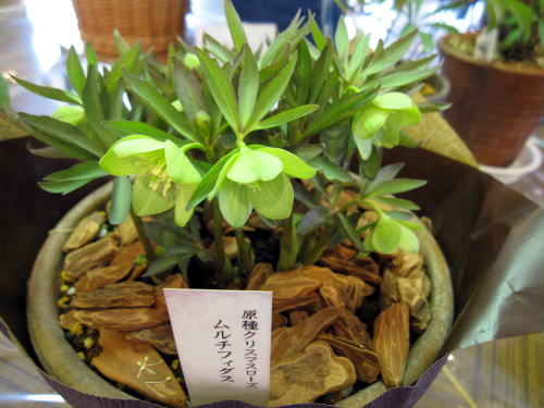 c0147952_0234447.jpg