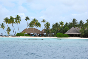 f0190653_14504750.jpg