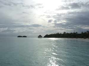 f0190653_1450710.jpg
