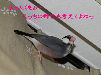 b0158061_2247294.jpg