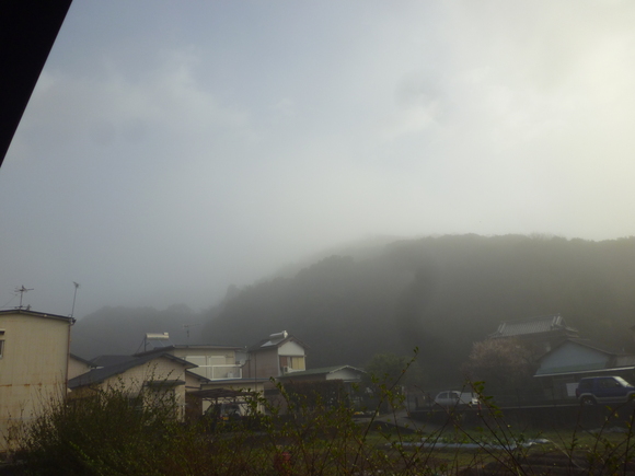 d0162564_159412.jpg